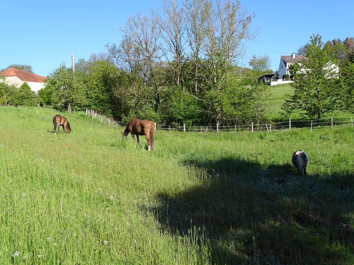 Ferien Auf Dem Land Apartment วาร์ชไตน์ ภายนอก รูปภาพ